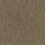Canyon Taupe fabric swatch