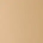 Omega Camel fabric swatch