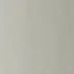 Omega Cement fabric swatch