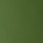 Omega Forest fabric swatch