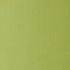 Omega Lima fabric swatch
