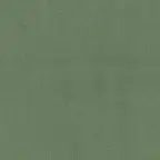 Seattle Green fabric swatch